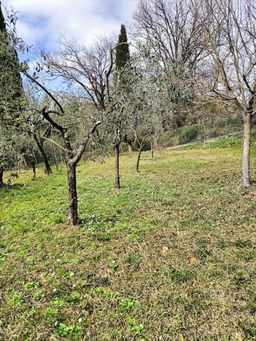Locazione Turistica La Gesualda Apartment Castelnuovo Magra Ngoại thất bức ảnh