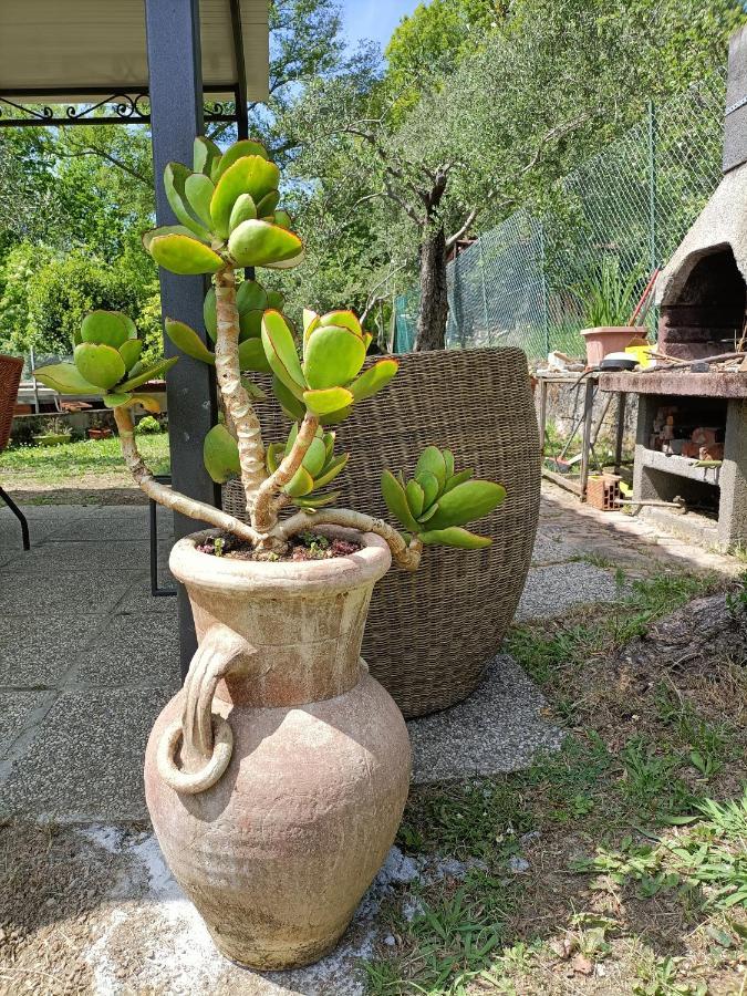 Locazione Turistica La Gesualda Apartment Castelnuovo Magra Ngoại thất bức ảnh